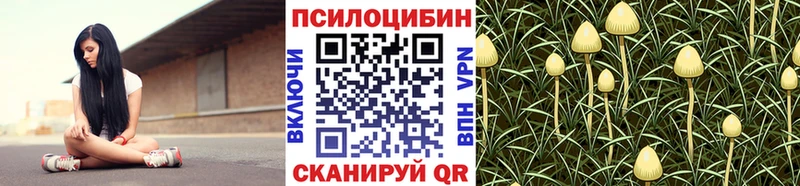 OMG ТОР  Бирюч  Псилоцибиновые грибы прущие грибы 